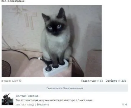 Комментарии и СМС