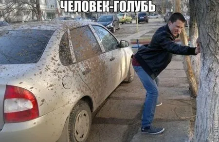 Фото приколы смотри сейчас, завтра уже не то