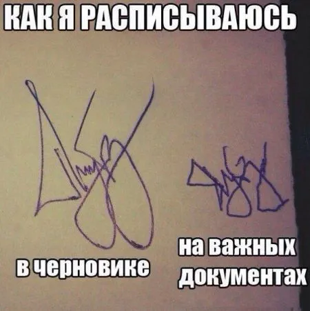 Фото приколы смотри сейчас, завтра уже не то