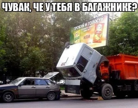 Фото приколы смотри сейчас, завтра уже не то