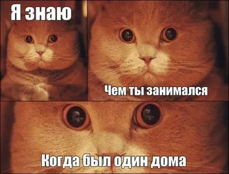 Фото приколы смотри сейчас, завтра уже не то