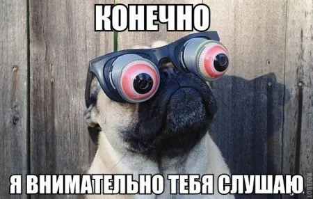 Фото приколы смотри сейчас, завтра уже не то