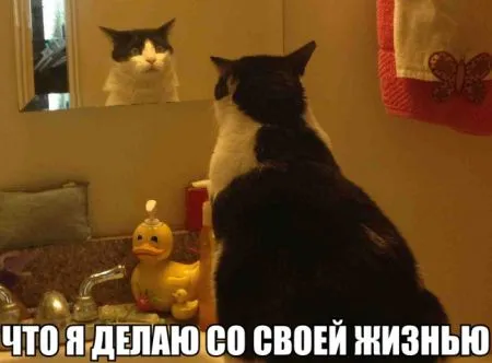 Фото приколы смотри сейчас, завтра уже не то