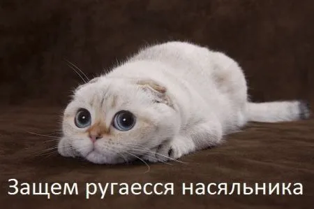 Веселые картинки, море позитива