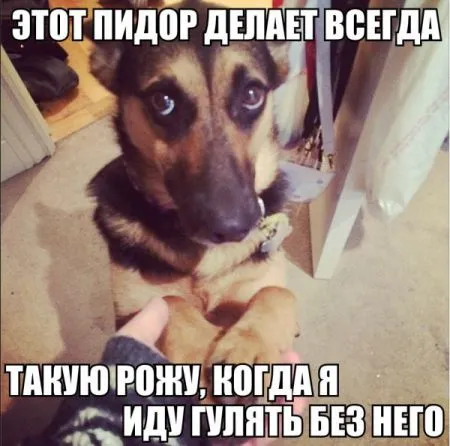 Веселые картинки, море позитива