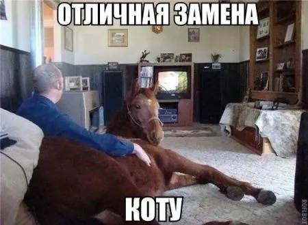 Веселые картинки, море позитива