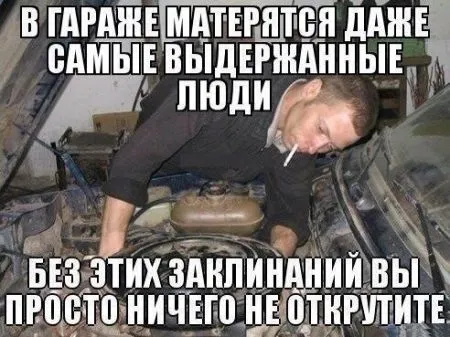 Веселые картинки, море позитива