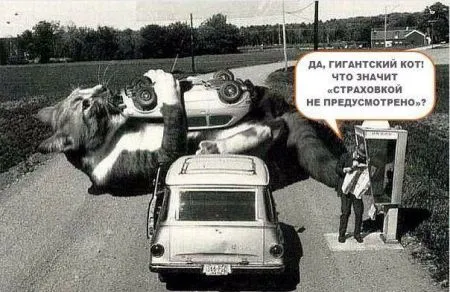 Автомобильные приколы