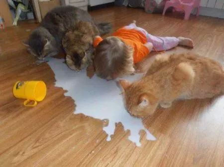 Дети с которыми не соскучишься!