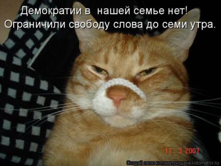 Прикольные котоматрицы