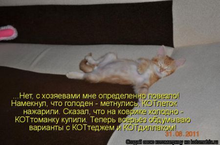 Прикольные котоматрицы