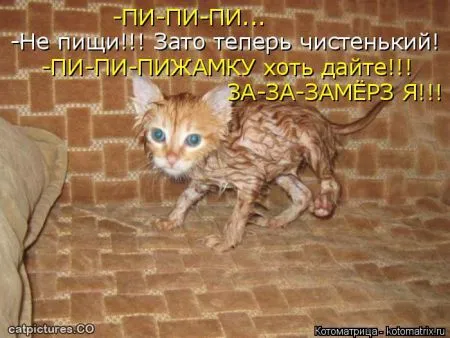 Прикольные котоматрицы