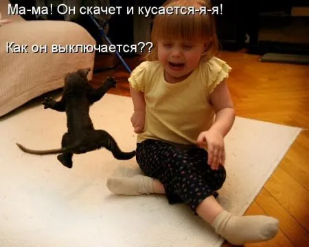 Прикольные котоматрицы