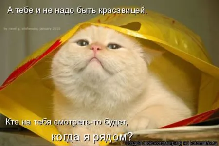 Прикольные котоматрицы