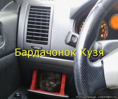 Прикольные котоматрицы