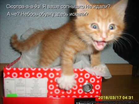 Прикольные котоматрицы