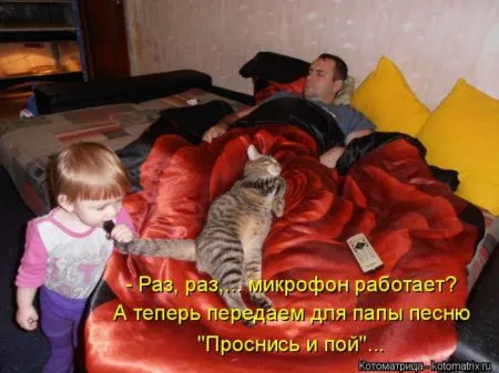 Прикольные котоматрицы