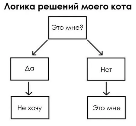 Хорошие фото приколы скрасят любой будний день