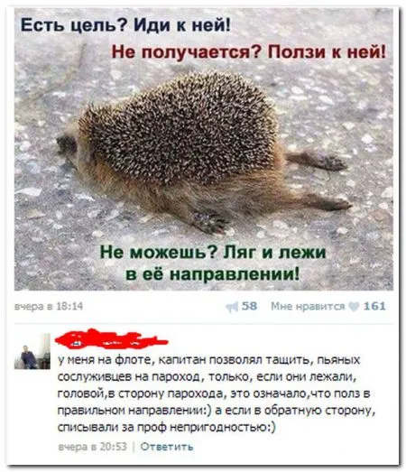 Смешные комментарии из соцсетей от 17.05.2014