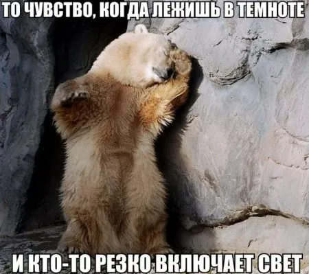 Приколы в картинках