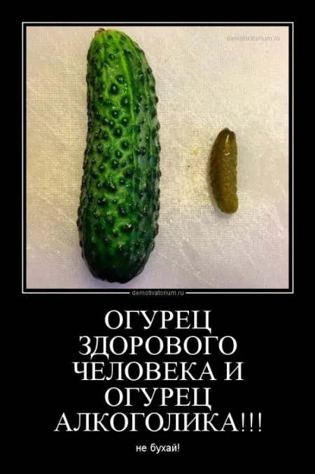 Немножко наших цитаток, демотиваторы