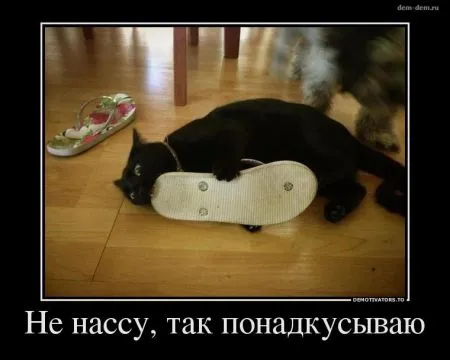 Демотиваторы и хорошее настроение