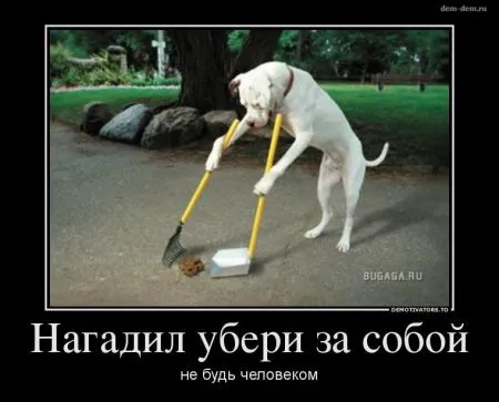 Демотиваторы и хорошее настроение
