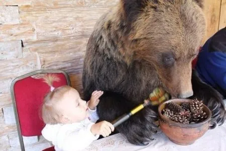 Ну просто странные картинки, зато веселая подборка фото