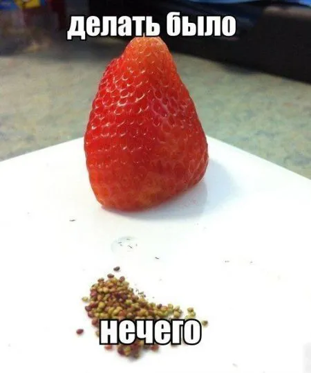 Веселые картинки