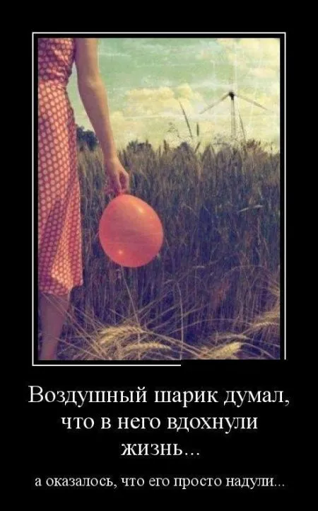 Лучшие демотиваторы