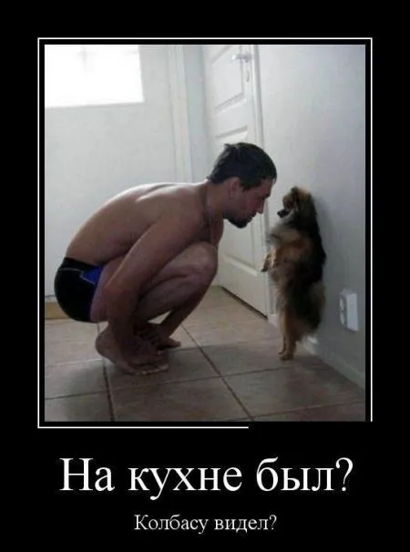 Лучшие демотиваторы