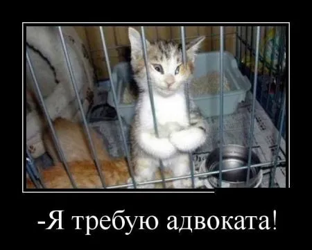 Лучшие демотиваторы