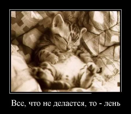 Свежие демотиваторы дня (30 шт)
