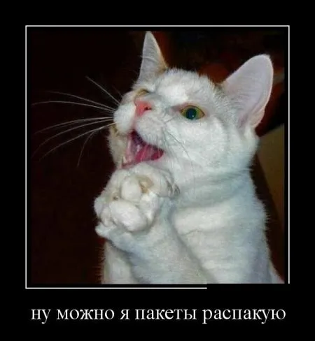 Свежие демотиваторы дня (30 шт)