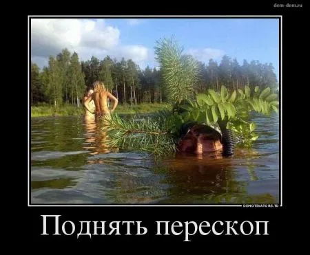 Свежие демотиваторы дня (30 шт)