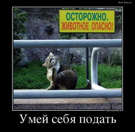 Свежие демотиваторы дня (30 шт)