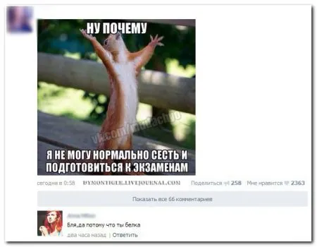 Смешные комментарии из соцсетей от 29.04.2014