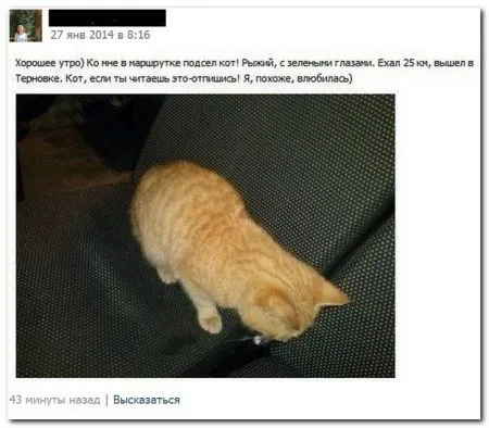 Смешные комментарии из соцсетей от 29.04.2014