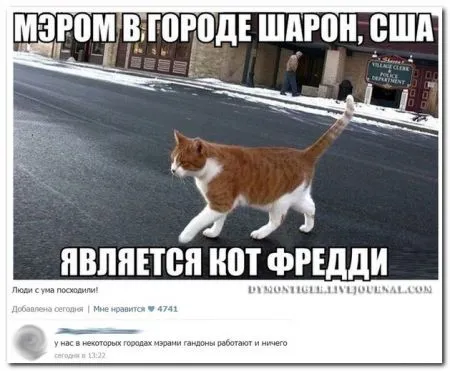 Смешные комментарии из соцсетей от 29.04.2014
