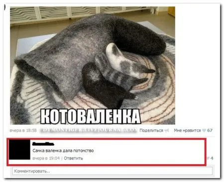 Смешные комментарии из соцсетей от 29.04.2014