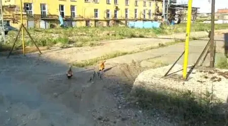 Утки напали на электрика при обходе объектов