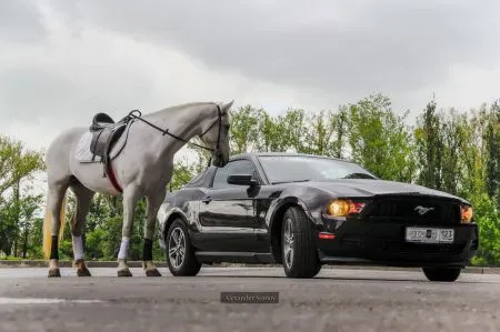 Автомобильные приколы