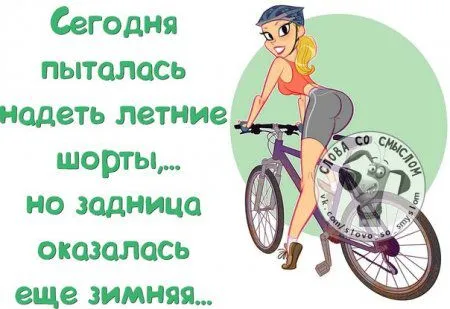 Читаем прикольные фразы