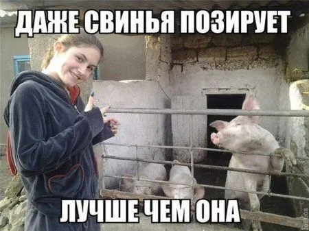 Сегодня тоже фото приколы