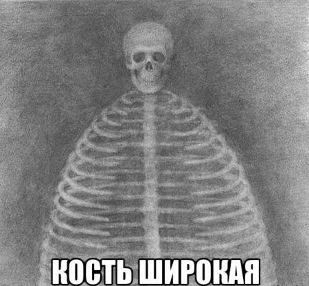 Здесь и сейчас приколы