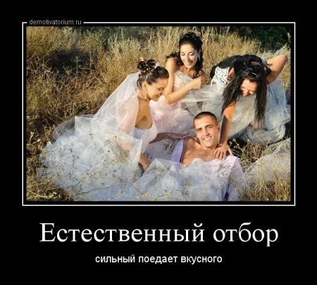 Лучше быть без ума от женщины, чем быть без ума без всякой причины!