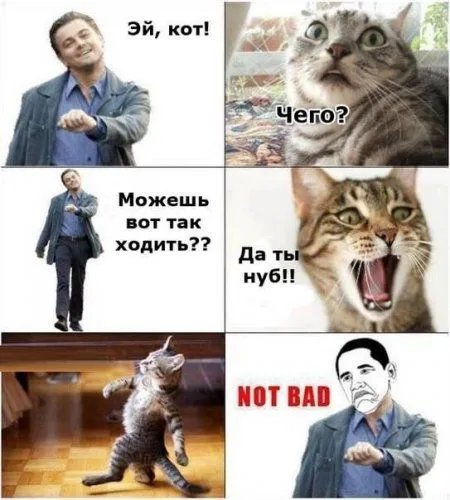 Приколы подоспели Приколы подоспели