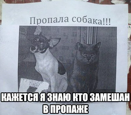 Приколы подоспели Приколы подоспели