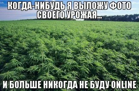Приколы подоспели Приколы подоспели