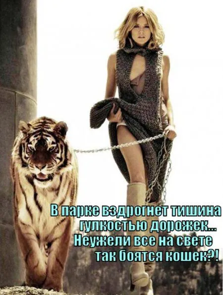 Приколы подоспели Приколы подоспели